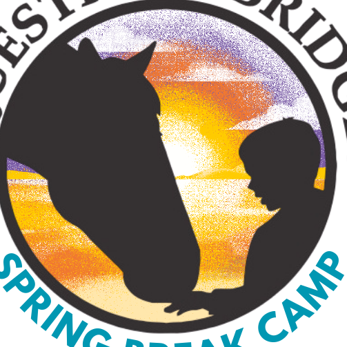 Equestrian Bridges Summer Horsemanship 2026 Camp - logo